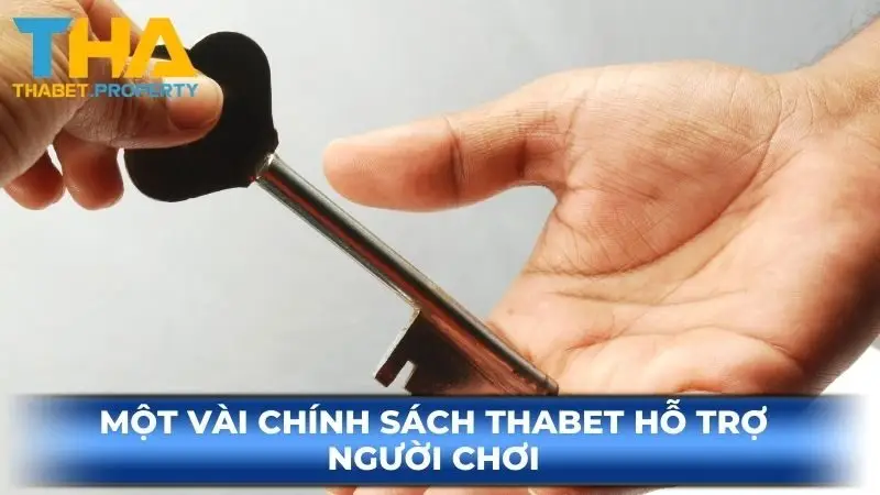 Một vài chính sách Thabet hỗ trợ người chơi 